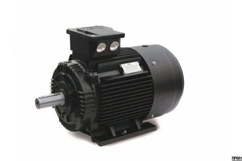 Электродвигатель CIB Unigas, 218101001