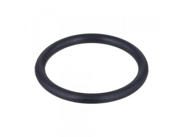 Уплотнительное кольцо Protherm 0020097224 для котлов Гепард и Пантера