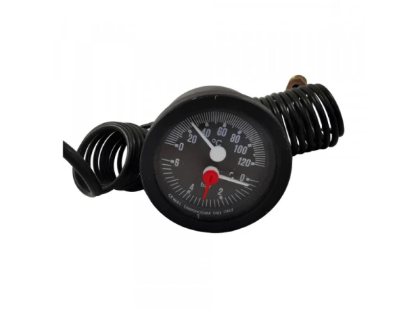 Термоманометр Protherm Волк 0020095639 для систем отопления, OEM